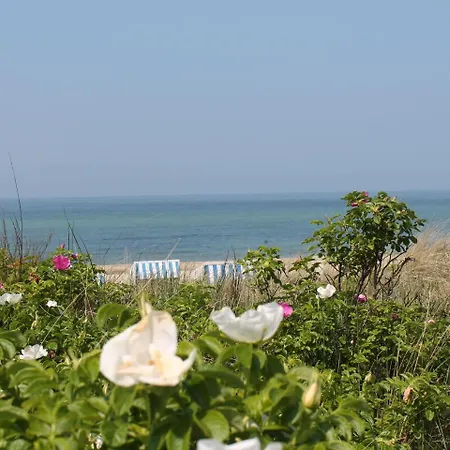 Bright Apartment In Blowatz Near The Seabeach * Blowatz